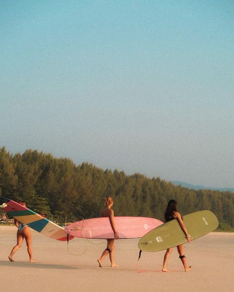 People Surfing, Surf Pictures, Women Surfing, Surfer Aesthetic, Surfing Aesthetic, Walking Together, Surf Aesthetic, Surf Hats, Surfer Girls