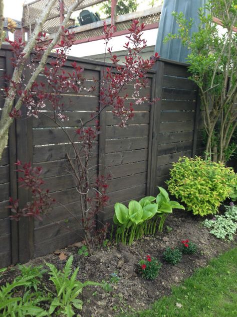 Staining a fence with WoodShield Behr Slate Fence Stain, Dark Brown Fence Stain, Dark Stained Fence, Staining A Fence, Dark Fence, Black Fences, Eagle Landscape, Fence Colors, Fence Paint Colours