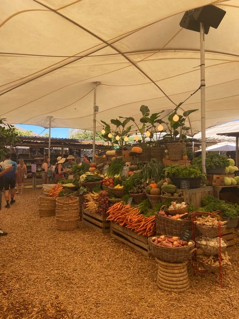 Fall Farmers Market Display, Autumn Farmers Market Aesthetic, Fresh Market Aesthetic, Farmer’s Market Aesthetic, Farmer Market Aesthetic, Local Farmers Market Aesthetic, Fall Farmers Market Aesthetic, Farmers Aesthetic, Veggies Aesthetic