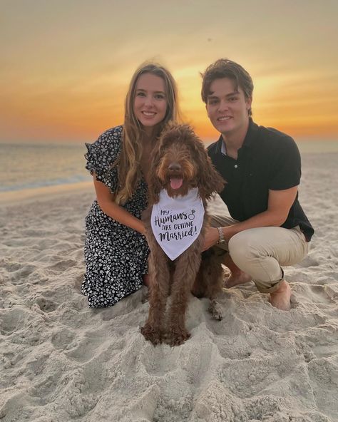 My Humans Are Getting Married Bandana, Our Humans Are Getting Married, Dog Engagement Announcement, Photo With Dog, Engagement Photos With Dog, Bandana Wedding, My Humans Are Getting Married, Wedding Photo Prop, Photos With Dog