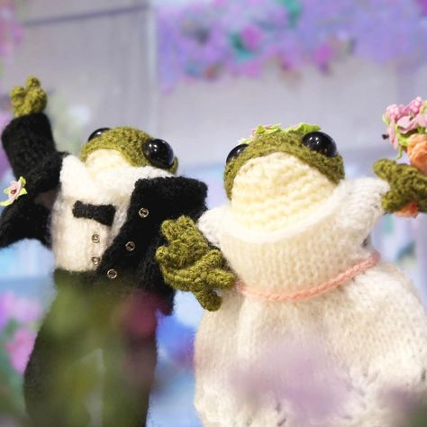 Crochet Couple, Couple Crochet, Frog Couple, Frog Wedding, Winter Wonderland Card, Knitted Frog, Old Instagram, Frog Doll, Frog Life