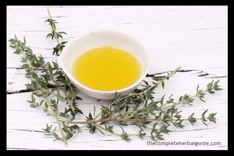 Thyme essential oil Benefits Of Thyme, Health Benefits Of Thyme, Thyme Essential Oil, Thyme Oil, Sage Plant, Fertility Problems, Lungs Health, Natural Antibiotics, Healing Herbs