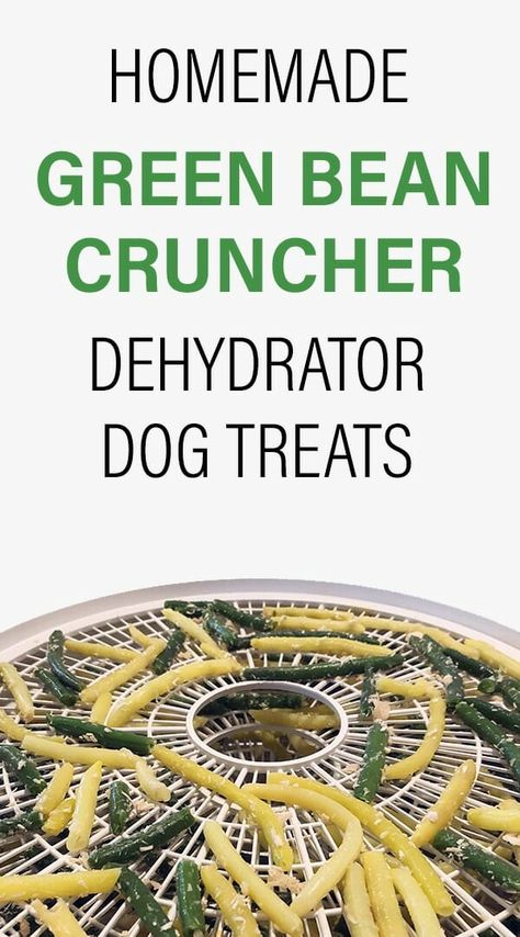 Dehydrator Dog Treats, Green Bean Chicken, Healthy Beans, Easy Dog Treat Recipes, Dog Treats Grain Free, Dog Biscuit Recipes, Easy Dog Treats, Healthy Dog Treats Homemade, Dog Treats Homemade Recipes