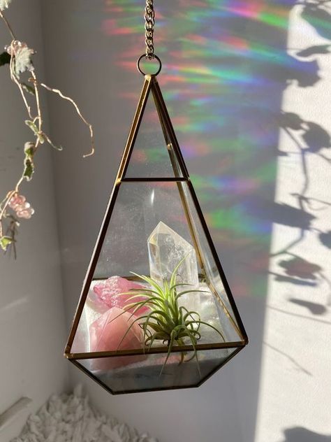 Crystal Room Decor, Hanging Glass Terrarium, Rose Aura, Crystal Room, Air Plants Care, Hanging Terrarium, Crystal Garden, Blank Slate, Garden Terrarium