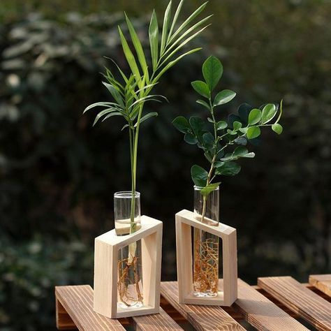 Precio bajo con envío gratis para usuario nuevo. Test Tube Vase, Creative Desks, Desk Plants, Support Plante, Hydroponic Plants, Glass Flower Vases, Glass Planter, Plant Vase, Wooden Flowers