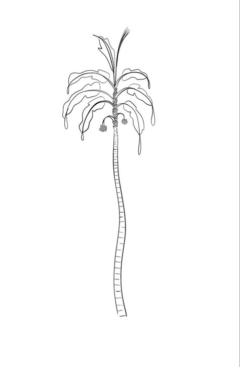 Colombian palm tree. Chontaduro is a Colombian fruit. Tattoo ideas for a minimal tattoo. Fine line tattoo. Tattoo inspiration. Colombian Tattoos, Colombian Tattoo Ideas, Colombia Tattoo Ideas, Colombian Tattoo, Fruit Tattoo, Tattoo Minimal, Palm Tree Tattoo, Minimalist Tattoos, Line Work Tattoo