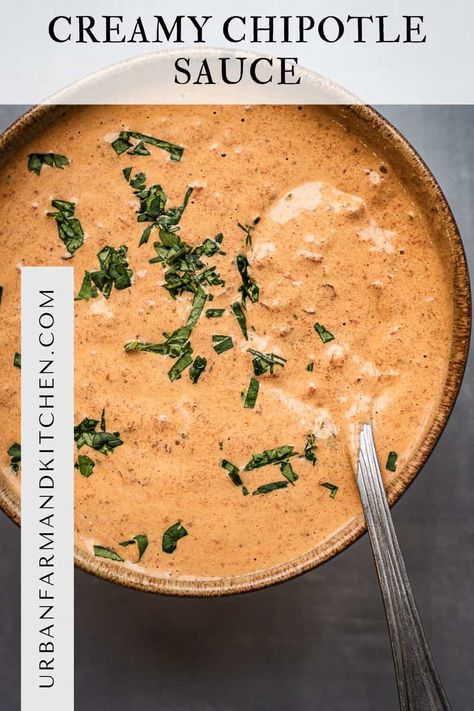 Creamy Chipotle Sauce Recipe (for tacos, dips & more) Healthy Creamy Chipotle Sauce, Adobo Chipotle Sauce, Steak Taco Sauce Recipe, Keto Chipotle Sauce, Sour Cream Chipotle Sauce, Spicy Sauce For Tacos, Adobo Sauce Recipe Easy, Rubios Chipotle Sauce, Creamy Chipotle Chicken Tacos