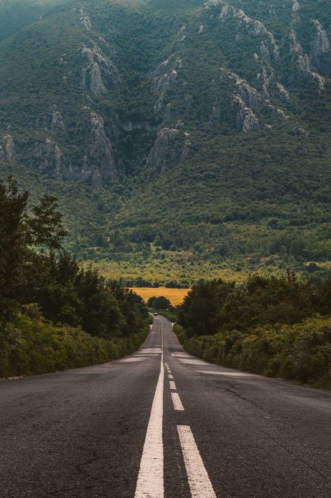 Download this free HD photo of road, forest, tree and mountain in Vratsa, Bulgaria by Evgeni Evgeniev (@evgenievgenief) Bulgaria Travel Destinations | Bulgaria Honeymoon | Bulgaria Photography | Backpack Bulgaria | Backpacking | Bulgaria Vacation Europe Wanderlust Budget Off the Beaten Path #travel #honeymoon #vacation #backpacking #budgettravel #offthebeatenpath #bucketlist #wanderlust #Bulgaria #Europe #visitBulgaria #TravelBulgaria Season Photography, Kaktus Dan Sukulen, Empty Road, Road Pictures, Sun Beautiful, Road Photography, Beautiful Roads, Belle Nature, Image Nature