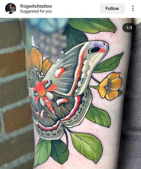 Neotrad Moth, Neotraditional Sleeve, Butterfly Moth Tattoo, Vintage Botanical Tattoo, Traditional Moth Tattoo, Traditional Butterfly Tattoo, Moth Tattoo Design, Traditional Tattoo Flowers, Traditional Tattoo Inspiration