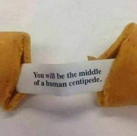 Not quite the fortune I was expecting 😂 #fortunecookie #human #centipede #thehorror #ninjamitton The Human Centipede, Human Centipede, Literally Me, Funny Pictures, Funny Memes, Humor, Writing, Human, Memes