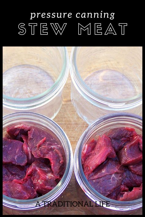 Canning Stew, Meat Canning, Bison Stew, Pressure Canning Meat, Best Salsa Recipe, Diy Canning, Food Prepping, Pressure Canning Recipes, Minced Meat Recipe