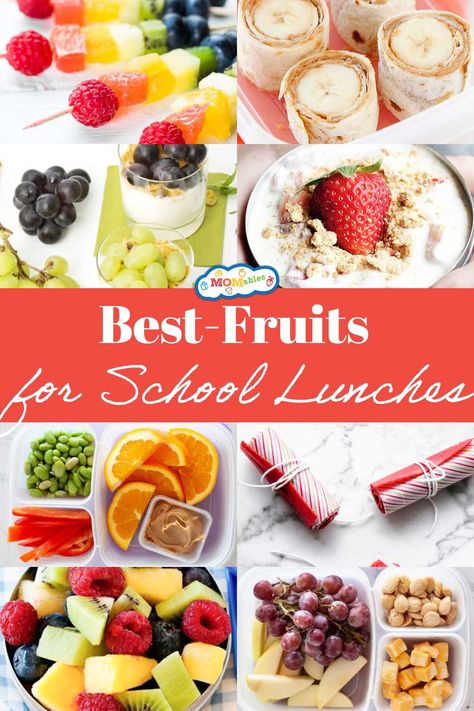 different types of fruits that are the best to pack for school lunches Fruit For Lunch Lunchbox Ideas, Fruit For Lunch, Kids Packed Lunch, Fruit Lunch, Kids Vegetables, Fruits For Kids, Healthy School Lunches, Healthy School, Kids Plates