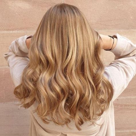 Honey Blonde Hair Colour Ideas & Formulas | Wella Professionals Jahodová Blond, Tmavý Blond, Warm Golden Blonde Hair, Golden Blonde Hair Color, Warm Blonde Hair, Honey Blond, Honey Blonde Hair Color, Honey Hair Color, Golden Blonde Hair