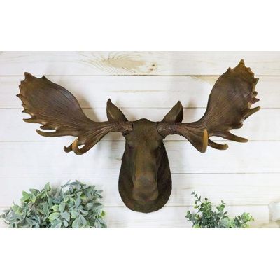 This Baron Moose Wall decor is 16.5" tall, 24" long and 11" deep approximately with its antlers attached. It weighs about 5.5 pounds. | Loon Peak® Boisey Wall Decor in Black / Gray | 16.5 H x 24 W x 11 D in | Wayfair | Home Decor Moose Head Decor, Deer Taxidermy, Western Farmhouse, Sci Fi Wall, Moose Decor, American Bull, Woodland Cottage, Bull Moose, Country Wall Decor