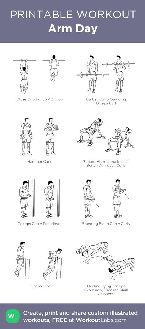 Arm Day: my visual workout created at WorkoutLabs.com • Click through to customize and download as a FREE PDF! #customworkout Arms Day Gym, Arms Day Workout, Arm Day Workout Gym, Killer Arm Workout, Arm Workout Routine, Arm Day Workout, Gym Plans, Workout Labs, Printable Workout