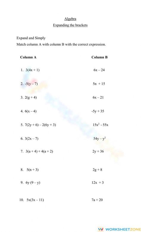 Test image Simplify Expressions, Simplifying Expressions, Test Image, The Worksheet, Maths Algebra, You Can Do