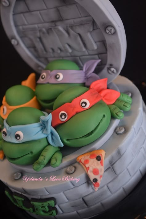 Turtles Cake Ninja, Fondant Ninja Turtles, Safari Nursery Wallpaper, Ninja Turtle Birthday Cake, Ninja Turtles Cake, Pink Ninja, Easy Polymer Clay, Raphael Ninja Turtle, Tmnt Birthday