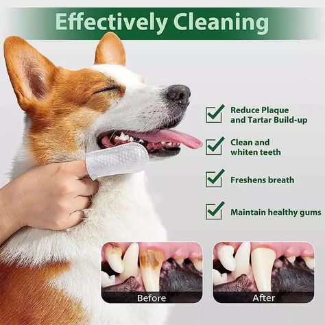 Premium Dental Care Wipes for Dogs & Cats - SYWIPE Manufacturers Teeth Hygiene, Pet Dental Care, Pet Branding, Pet Wipes, Dog Yoga, Dog Dental Care, Dog Dental, Teeth Care, Dog Teeth