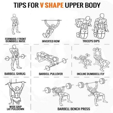 V Shape Workout Men, V Shape Workout, Mens Full Body Workout, V Shape Body, Shape Workout, Workouts Exercises, Home Strength Training, Gym Workout Guide, Workout Program Gym