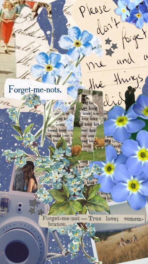 Aesthetic Forget Me Not, Dont Forget Me Aesthetic, Forget Me Nots Wallpaper, Forget Me Not Wallpaper Iphone, Forget Me Not Flower Aesthetic, Forget Me Not Background, Forget Me Not Aesthetic Wallpaper, Forget Me Not Flower Wallpaper, Forget Me Not Quotes