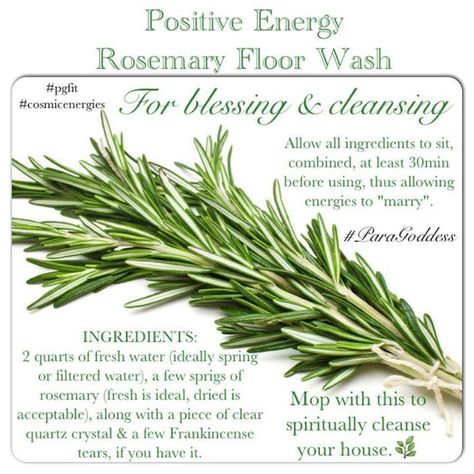 Rosemary Floor Wash for Blessing & Cleansing Ritual Space Celtic Witch, Magickal Herbs, Witch Herbs, Magia Das Ervas, Green Witchcraft, Magic Herbs, Magical Home, Magical Herbs, Herbal Magic