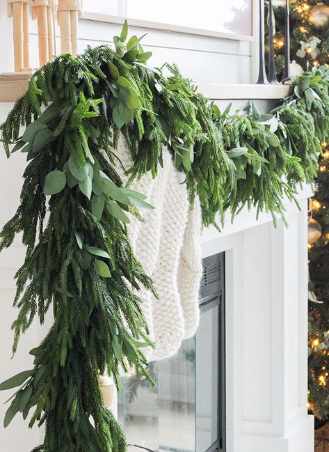 <p>Capture the timeless beauty of nature in your home without the hassle of maintenance with our <strong>Real Touch Pine Garland</strong>. This exquisite garland is expertly crafted to replicate the look and feel of real pine, providing you with enduring elegance and seasonal charm that requires no upkeep. Drape it along your banister for a festive entryway, embellish your fireplace mantle for a cozy atmosphere, or wind it around a chandelier for an elegant centerpiece.&lt Christmas Garland For Fireplace, Chandelier Garland Christmas, Decorating A Mantle For Christmas, White Christmas Mantle Decor, Farmhouse Stores, Vintage Christmas Mantle, Christmas Mantle Decor Fireplaces, Old World Christmas Decor, Rustic Christmas Garland