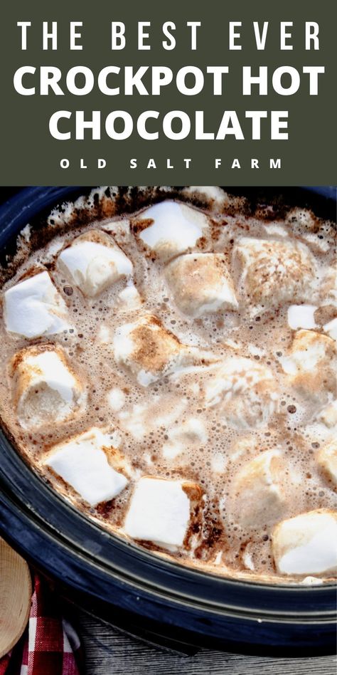 Best Crockpot Hot Chocolate, Easy Crockpot Hot Chocolate, Crockpot Hot Chocolate Recipe, Crockpot Hot Chocolate, Best Crockpot, Hot Chocolate Recipe, Christmas Hot Chocolate, Homemade Hot Chocolate, Chocolate Recipe