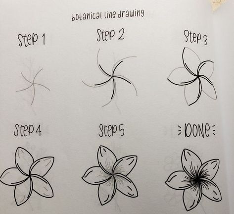 Výtvarné Reference, Flower Drawing Tutorials, صفحات التلوين, Seni Dan Kraf, 그림 낙서, Flower Art Drawing, Buku Skrap, Seni Cat Air, Easy Doodles Drawings