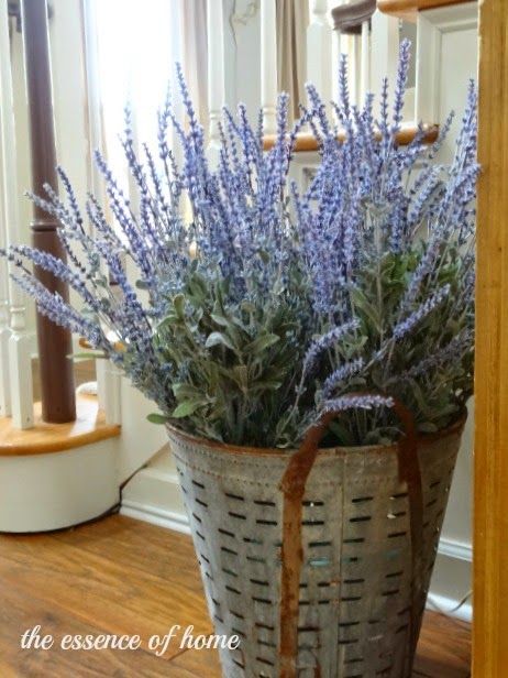 The Essence of Home: How to Make an Impressive Lavender Display Olive Bucket Decor, Bucket Decor, Olive Bucket, Bucket Ideas, Space Ideas, Lavender Flowers, House 2, Buckets, How To Style