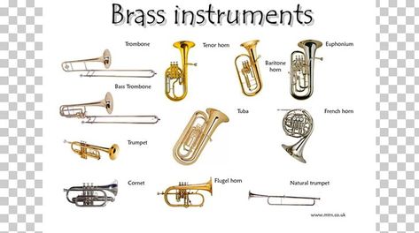 Instrument Families, Homemade Instruments, Brass Instrument, Woodwind Instrument, Brass Instruments, Learn English Vocabulary, Percussion Instruments, Tv Movie, Piano Lessons