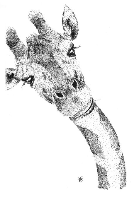 Giraffe, african animals, africa, pointillism, dotwork, stippling, black and white, illustration Pointalism Art, Pointillism Tattoo, Stippling Drawing, Animals Africa, Art Du Croquis, Dotted Drawings, Stippling Art, Scale Drawing, Pen Art Drawings