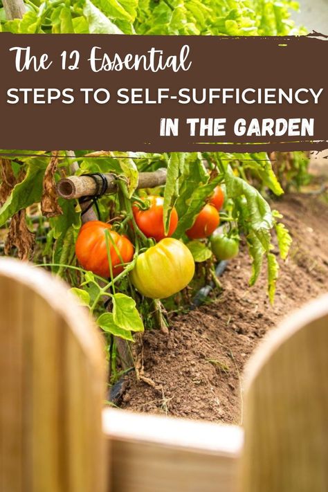 A self-sufficient garden provides all or a large amount of the vegetables and fruits your family eats. Surprisingly, it has been demonstrated repeatedly that this doesn't require large amounts of outdoor space or a homestead, and people have turned the ordinary suburban backyard into one that can provide a bounty of healthy and delicious food. Even if total self-sufficiency is not your goal, these tips can help you maximize your yields. Suburban Backyard, Suburban Homesteading, Self Sufficiency, Squash Varieties, Succession Planting, English Country Cottage, Beautiful Chickens, Easter Desserts Recipes, Natural Fertilizer