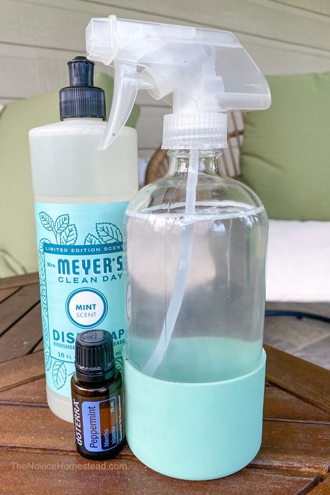 Get rid of garden insect pests quickly and effectively with this all natural peppermint oil bug spray. All you need are two simple ingredients! This is my go-to bug repellent recipe when I want to avoid harsh chemical pesticides! Madeline Recipes, Hostas Care, Diy All Purpose Cleaner, Daily Shower Cleaner, Bug Repellent Spray, Mold Spray, Granite Cleaner, Natural Repellent, Bug Spray