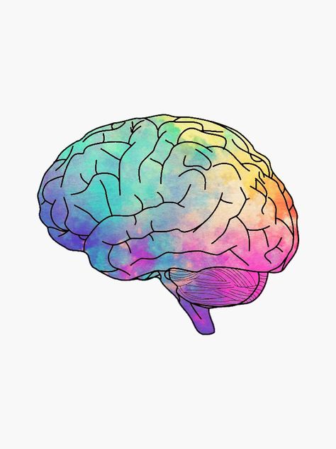 "watercolor brain" Sticker by clairekeanna | Redbubble Brain Art Drawing, Human Brain Drawing, Ambient Aesthetic, Brain Wallpaper, Brain Aesthetic, Watercolor Brain, Brain Pictures, Brain Painting, Brain Sticker