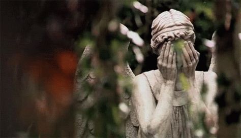 Sorrow Angel GIF - Sorrow Angel GuardianAngel - Discover & Share GIFs Weeping Angels, Deep Books, Martha Jones, Weeping Angel, Tv Doctors, Angel Statue, Paolo Roversi, Amy Pond, Eleventh Doctor