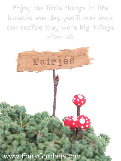 How To Make A Rustic Sign For Your Fairy Garden - The Magic Onions Fairy Garden Signs, Fairy Garden Sign, Backyard Garden Layout, Small Backyard Gardens, Fairy Garden Houses, Diy Fairy, Magical Garden, Miniature Diy, Fairy Garden Diy