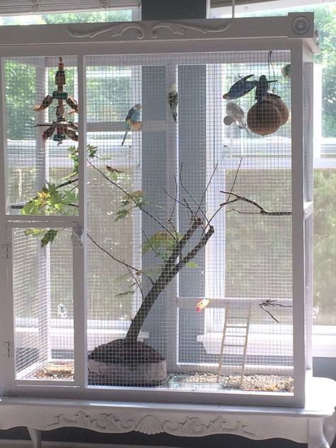 Big Bird Cage Ideas, Budgie Cage Ideas, Parakeet Cage Ideas, Diy Parakeet Cage, Cute Bird Cage, Bird Cage Diy, Bird Cage Ideas, Big Bird Cage, Finch Cage