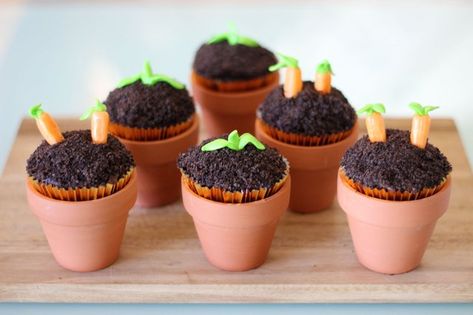 You don't need a green thumb to create this bountiful crop of cupcakes decorated like a vegetable patch. The secret is cookie crumbs and candy for a realistic yet whimsical garden of yumminess. Vegetable Garden Cake, Diy Vegetable Garden, Frosting For Chocolate Cupcakes, How To Make Sunflower, Garden Cupcakes, Sunflower Cupcakes, Store Bought Frosting, Vegetable Patch, Garden Baby Showers