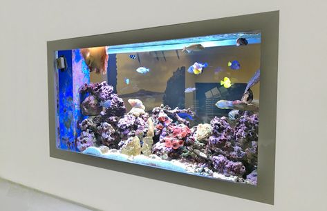 Fish Tank Design Ideas House, Fish Tank Wall Aquarium Design, Fish Tank Wall Ideas, Fish Tank On Wall, Wall Fish Tank Ideas, Fish Tank In Wall, In Wall Aquarium, Wall Aquarium Ideas, Fish Pots