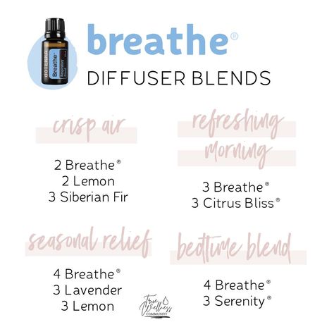 Breathe Better Diffuser Blend, Doterra Breathe Diffuser Blends, Breathe Diffuser Blend Doterra, Breathe Easy Essential Oil Blend, Doterra Breathe, Eo Blends, Best Diffuser, Doterra Diffuser, Doterra Diffuser Blends