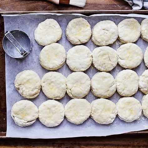 Homemade Buscuits, Homemade Biscuit Dough, Homemade Freezer Biscuits, Homemade Biscuits From Scratch, Whole Wheat Biscuits, Biscuits Homemade, Sour Cream Biscuits, Baked Biscuits, Best Biscuit Recipe