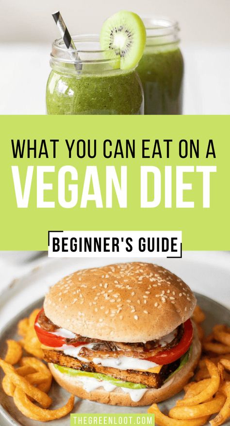 A Beginner's Guide to the Vegan Diet. What can vegans eat? What can't they eat? Now you'll know exactly! | The Green Loot #vegan Reasons To Go Vegan, Vegan Benefits, Vegan Transition, How To Become Vegan, Vegan Grocery, Vegetarian Lifestyle, Cake Vegan, Vegan Living, Vegan Nutrition