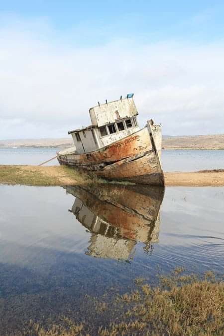 Point Reyes California, Point Reyes National Seashore, Unique Photos, Abandoned Ships, Point Reyes, Ghost Ship, California Photos, Old Boats, Boat Art