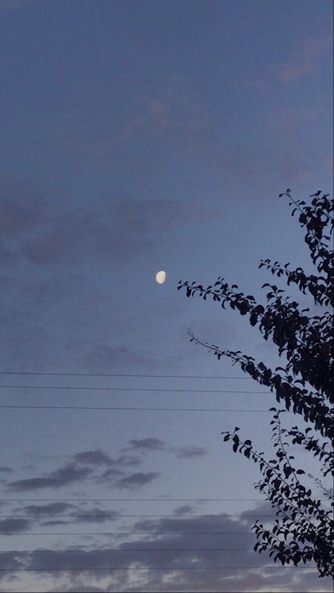 Realistic Moon Picture, Moon Realistic, Aesthetic Science, Music Edits, Night Person, Single Pic, Sky Photography Nature, Moon Pictures, Sky Pictures