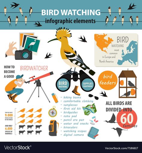 Dog Infographic, Best Bird Feeders, Rules For Kids, Bird Graphic, Bird Hunting, Infographic Template, Kinds Of Birds, Meaningful Connections, Bird Supplies