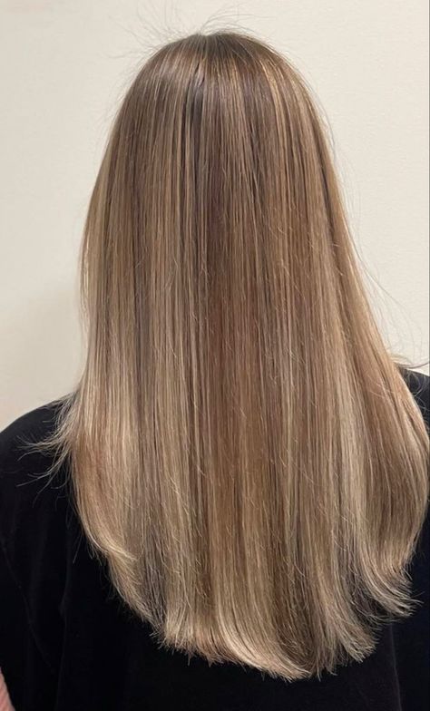 Blonde Balayage On Pale Skin, Light Brown Hair With Blonde Highlights Medium Shoulder Length Straight, Quarter Head Highlights, Straight Hair No Layers, Dark Blonde Hair Straight, Dirty Blonde Hair Straight, Light Brown Straight Hair, French Blonde, Wheat Blonde