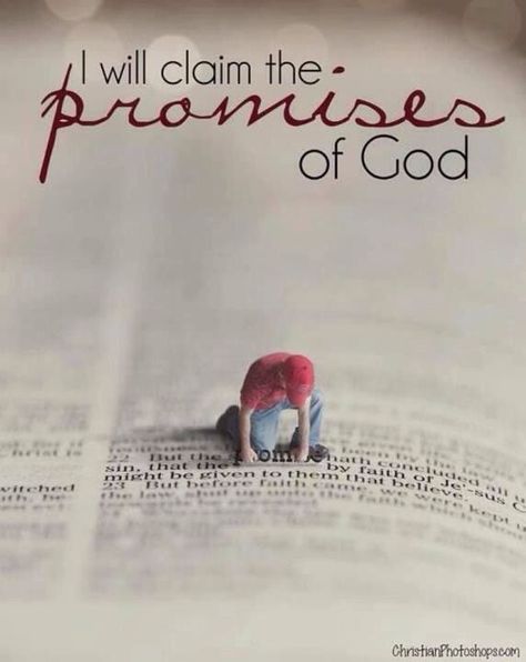 Labor to enter into His Rest!! Search the scriptures, find your Promise and claim what The Word of God Promises ❤️ Bible Promises, Ayat Alkitab, The Perfect Guy, God Loves Me, Gods Promises, Faith In God, Christian Life, Trust God, Faith Quotes