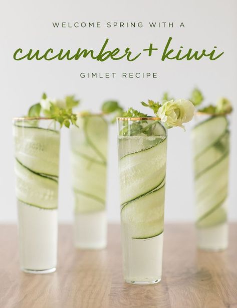 Cucumber and Kiwi Gimlet Recipe #cucumber #kiwi #gimlet #recipe #cocktail Gimlet Recipe, Limoncello Cocktails, Gimlet, Spring Cocktails, Rum Punch, Lip Scrubs, Fancy Drinks, Vodka Drinks, Pretty Drinks