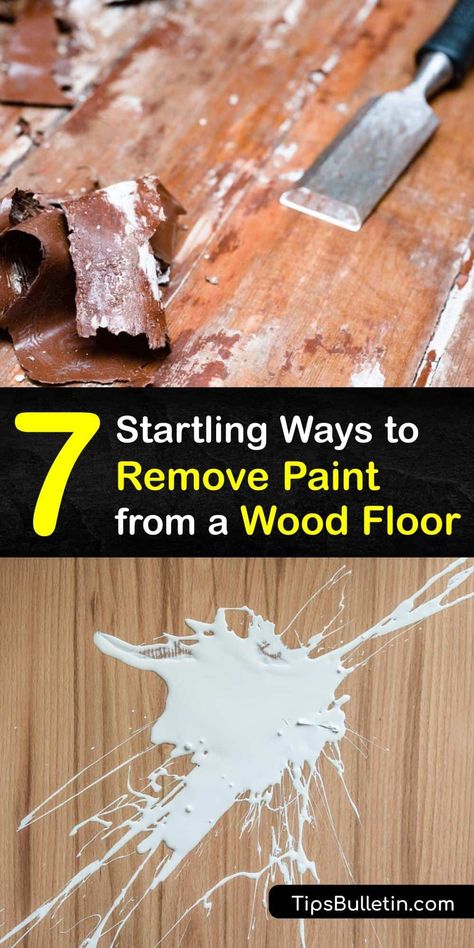 Discover how to clean up a fresh paint stain and old paint from a wood floor using various solutions and methods. A putty knife and soapy water work well for removing latex paint while rubbing alcohol or paint thinner is the quickest form of paint removal. #howto #remove #paint #wood #floors How To Get Paint Off Wood, Remove Paint From Wood Floors, How To Remove Paint From Wood Floors, How To Get Paint Off Wood Floors, How To Remove Paint From Wood, Get Paint Off Wood Floors, Paint Wood Floors, Removing Paint From Wood, How To Remove Paint