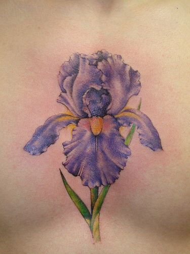 Iris tattoo Violet Flower Tattoos, Iris Flower Tattoo, Vintage Flower Tattoo, Iris Tattoo, Harry Potter Tattoos, Flower Tattoo Sleeve, Sternum Tattoo, Iris Flower, Wolf Tattoos